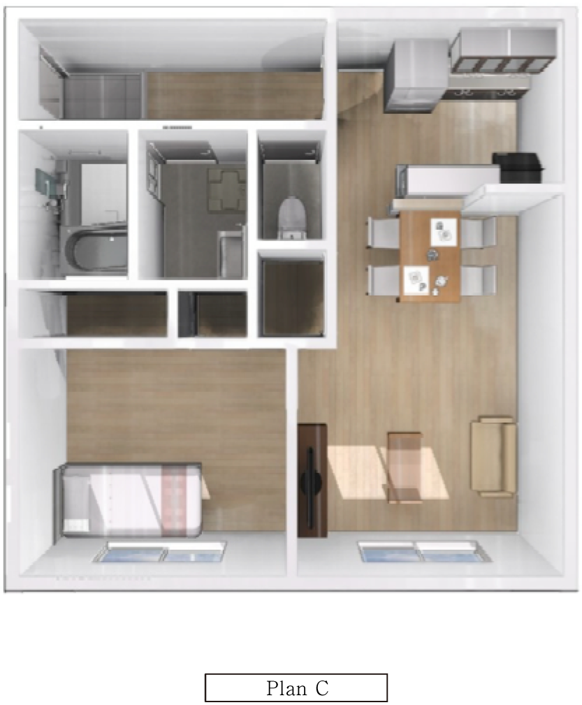 Plan C