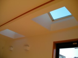 tm_SANY0208