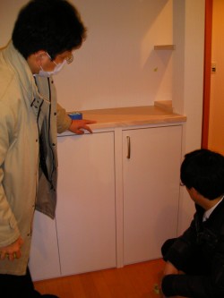 tm_SANY0225