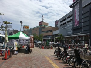 IMG_0200