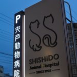 【動物病院併用3階建て住宅】敷地266.9坪|延床216.38坪!<br>ご来院の方を真剣に考えたデザイン&技術のおもてなし