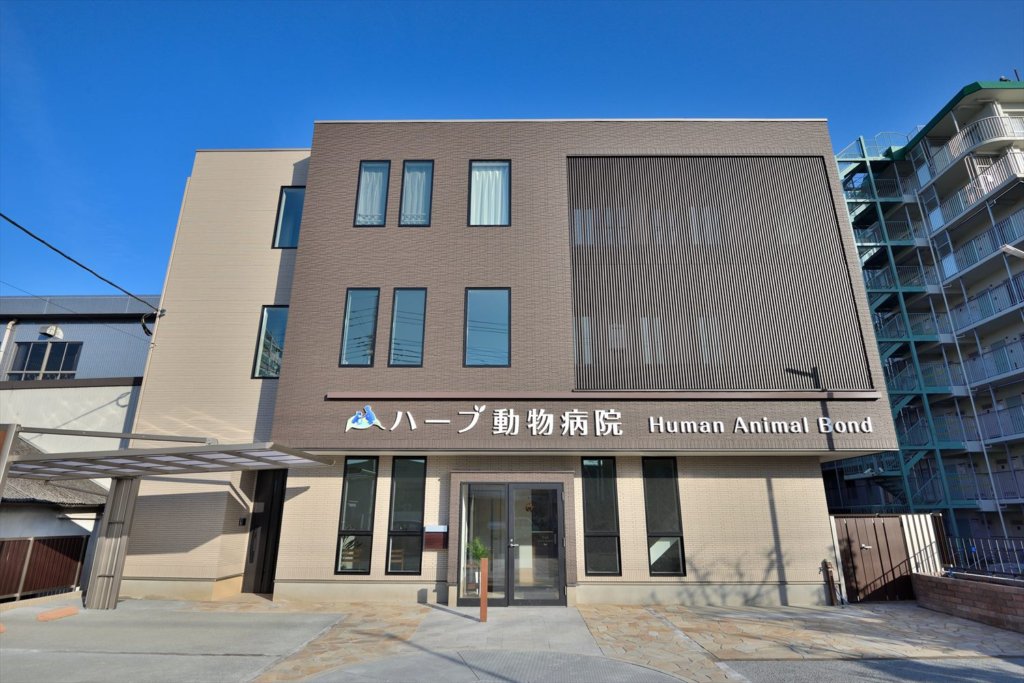 alt=”東自宅兼店舗の間取りポイントと注意点”