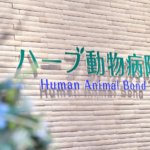 【生活感の無い店舗兼住宅】敷地144.76坪｜延床143.86坪！<br>外観上目を引くかたちを徹底的にこだわりました