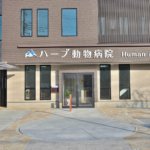 【生活感の無い店舗兼住宅】敷地144.76坪｜延床143.86坪！<br>外観上目を引くかたちを徹底的にこだわりました