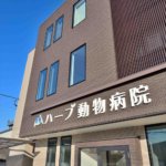 【生活感の無い店舗兼住宅】敷地144.76坪｜延床143.86坪！<br>外観上目を引くかたちを徹底的にこだわりました