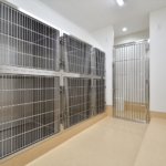 【生活感の無い店舗兼住宅】敷地144.76坪｜延床143.86坪！<br>外観上目を引くかたちを徹底的にこだわりました