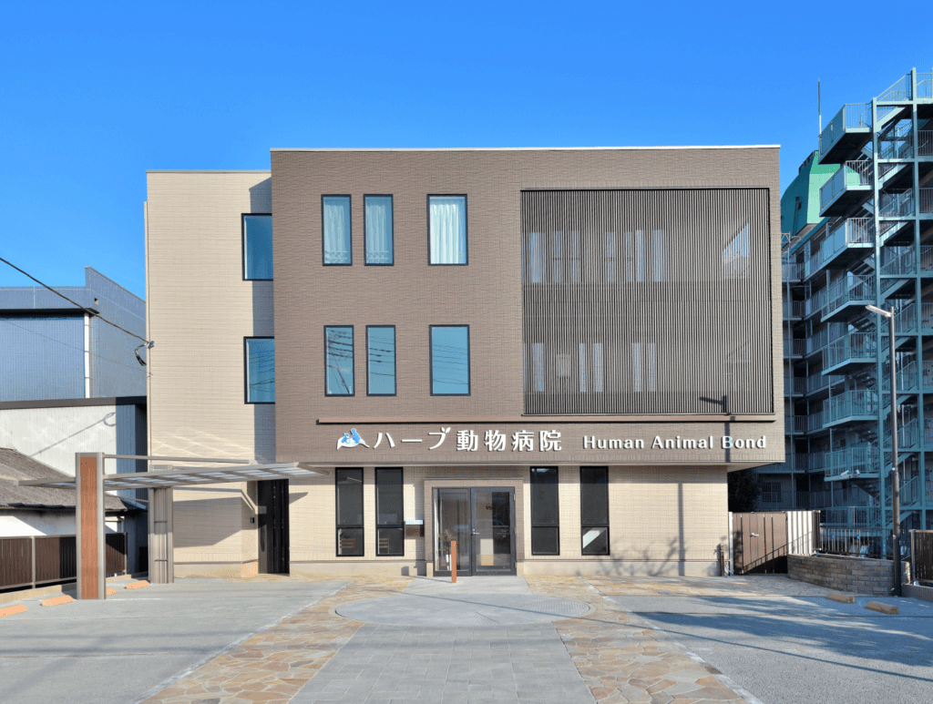 【生活感の無い店舗兼住宅】敷地144.76坪｜延床143.86坪！<br>外観上目を引くかたちを徹底的にこだわりました