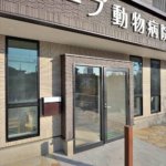 【生活感の無い店舗兼住宅】敷地144.76坪｜延床143.86坪！<br>外観上目を引くかたちを徹底的にこだわりました