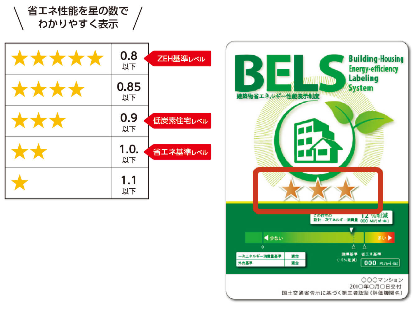 BELS
