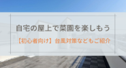 自宅の屋上で菜園を楽しもう