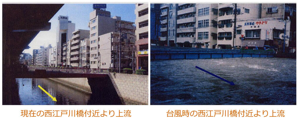 平成5年に発生した台風11号による被害状況