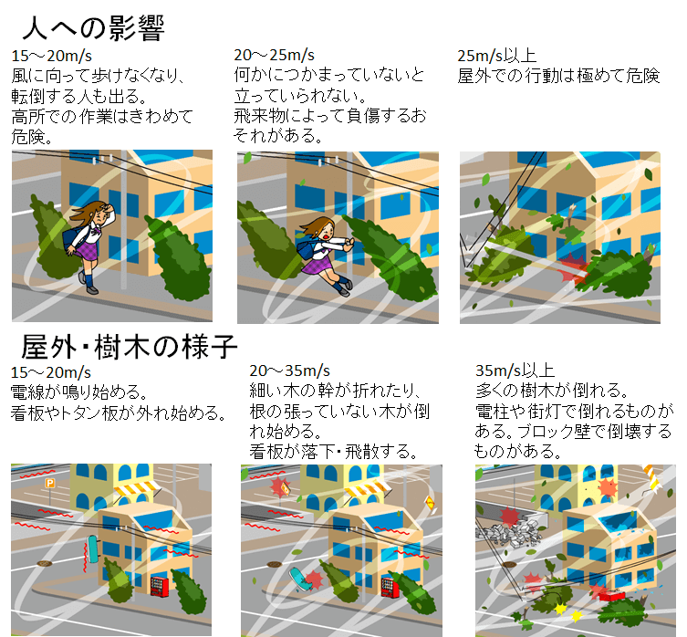 台風に強い家を作るためには風害について知る必要がある