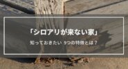 【シロアリが来ない家・寄せ付けない家】9の特徴│気になる5つの疑問も紹介