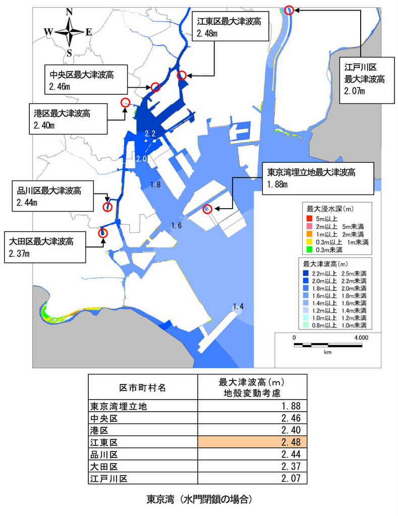 南海トラフ地震における東京湾内の最大波高