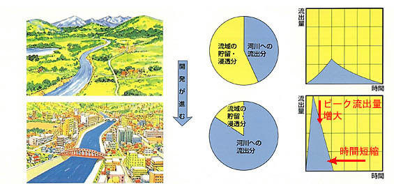 都市型水害の発生原因