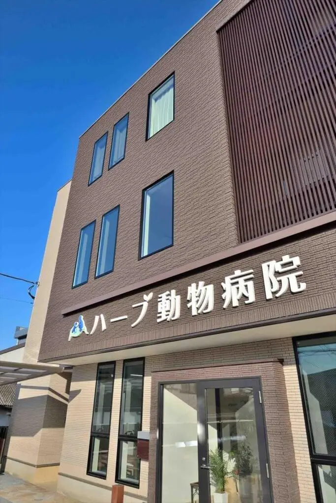 大きな窓が並ぶ家